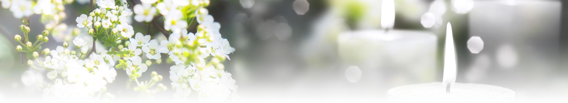 ڸ۳ңʣ״äˤߤΥˡ󥿡ˡ󥿡ҤߤΥˡ󥿡