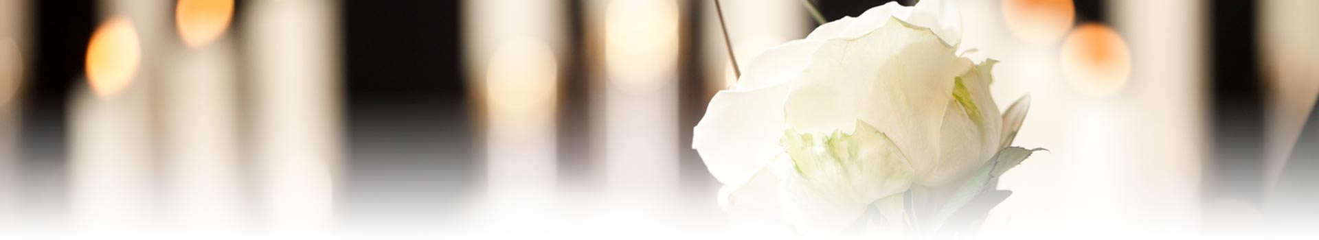 ڸ۳ңʣ״äˤߤΥˡ󥿡ˡ󥿡ҤߤΥˡ󥿡